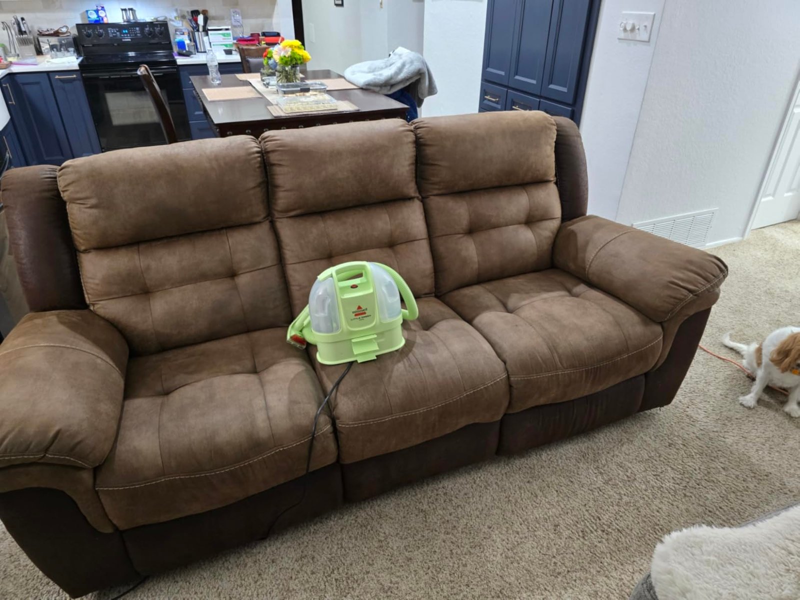 BISSELL Little Green Mini Portable Carpet and Upholstery Deep Cleaner. Car/Auto Detailer. with HydroRinse Self-Cleaning Tool and 4 Tough Stain Tool. Tea Green. 4075 photo review