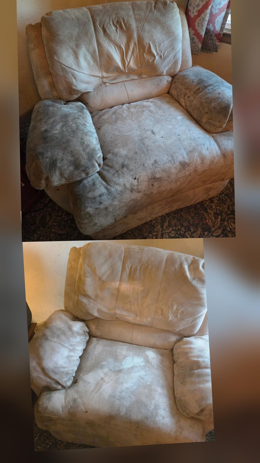 BISSELL Little Green Mini Portable Carpet and Upholstery Deep Cleaner. Car/Auto Detailer. with HydroRinse Self-Cleaning Tool and 4 Tough Stain Tool. Tea Green. 4075 photo review